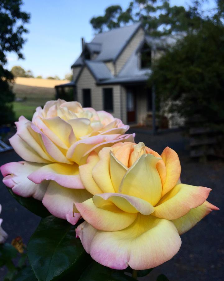 Brigadoon Cottages Haunted Hills Exterior foto
